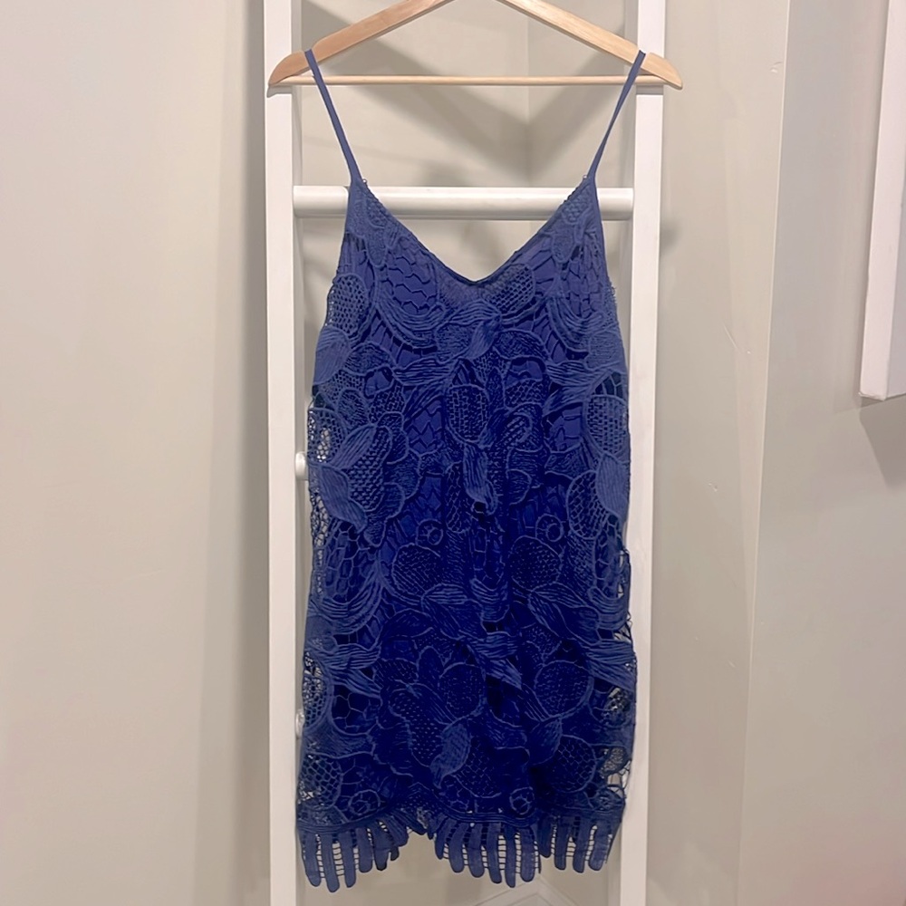 Grape purple Express lace Dress
